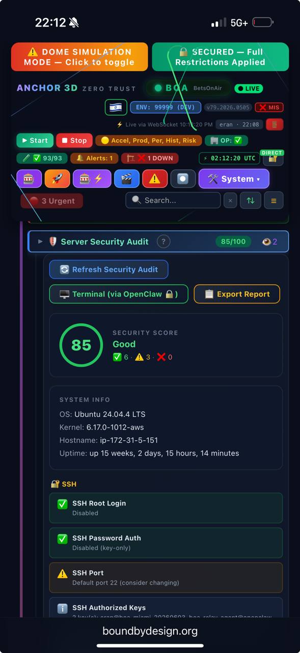Security Audit